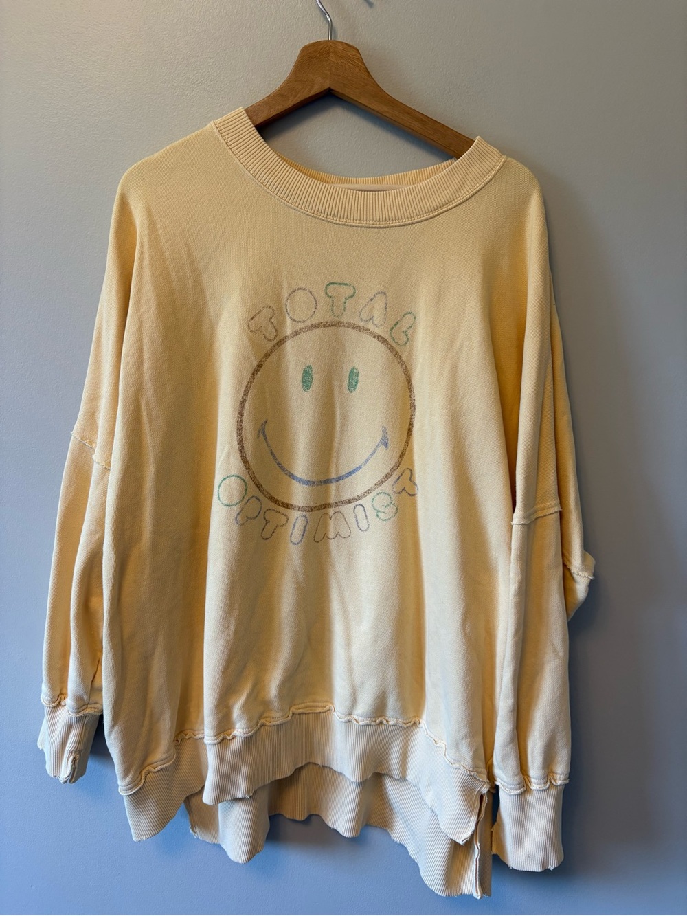 Aerie Offline Oversized Sweater Total Optimist